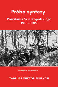 Próba syntezy Powstania Wielkopolskiego 1918-19 - okładka