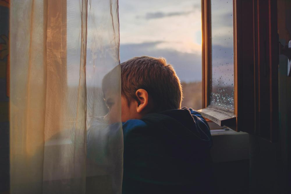 Window gazing-0a9791883d6d4624bc1ed2ebf0d4f27f.jpg Window gazing